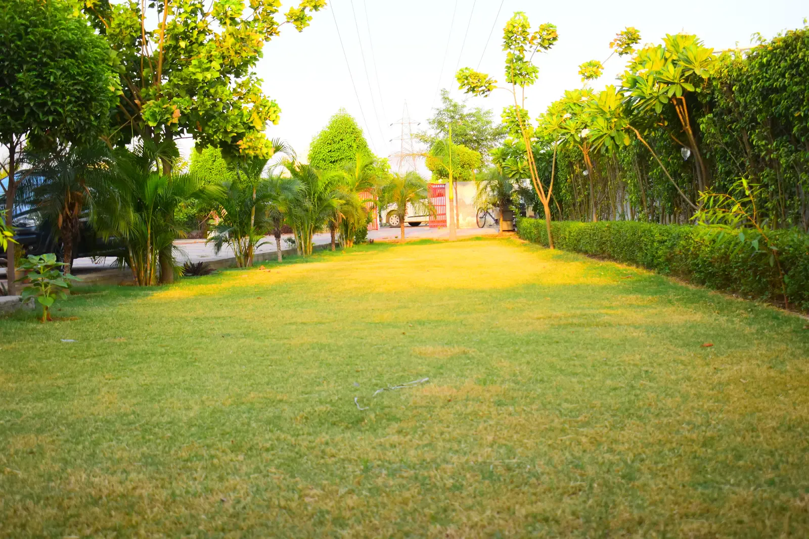 Gayatri Enclave: landscaped lawn with palms and hedges in late-afternoon light