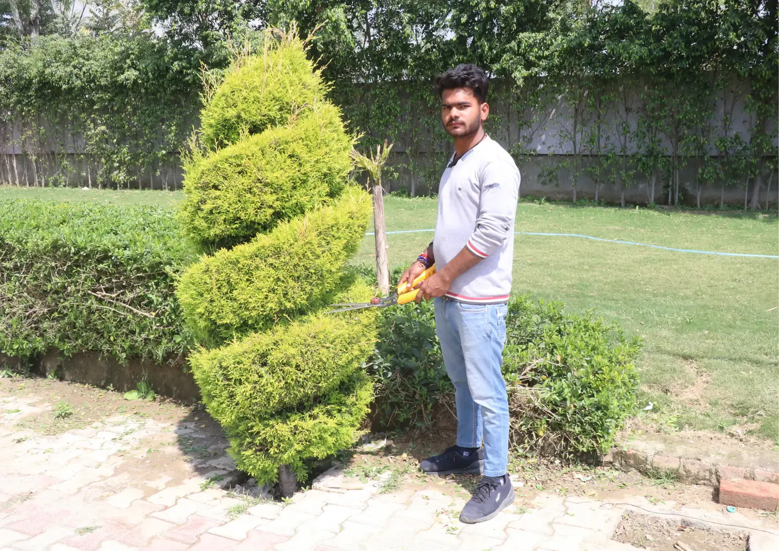 Gardener trimming a spiral topiary on a lawn at Defence Garden Phase 1