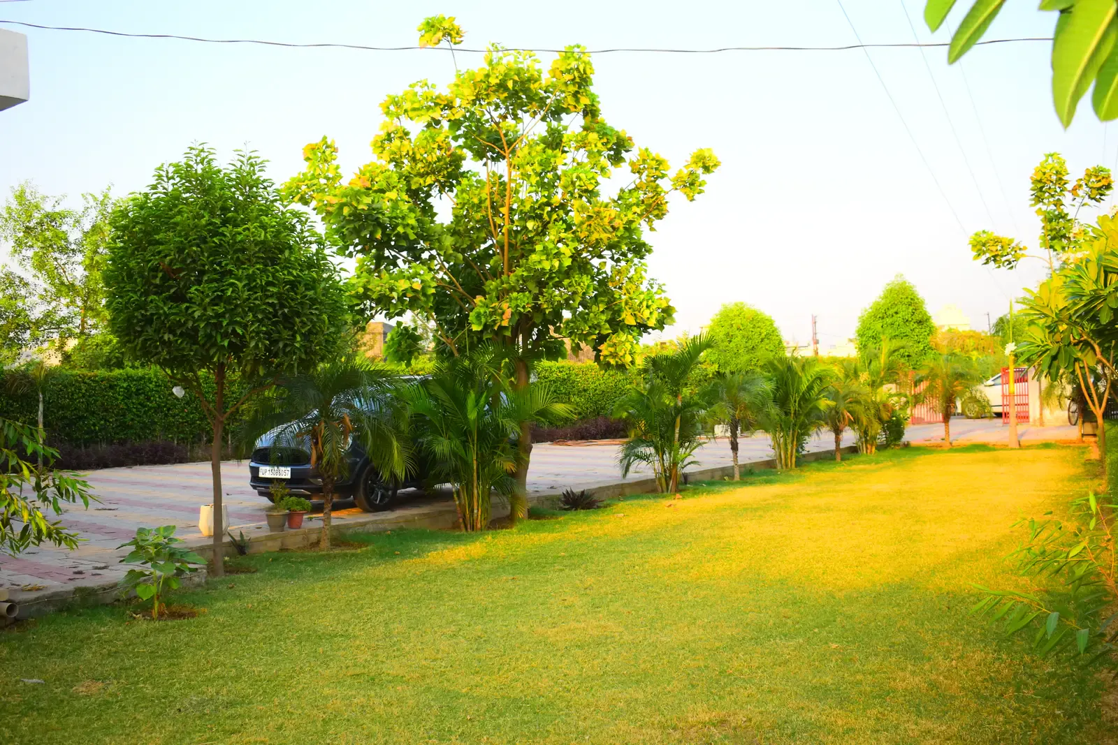 Gayatri Enclave: open lawn with trees and palms in warm evening light