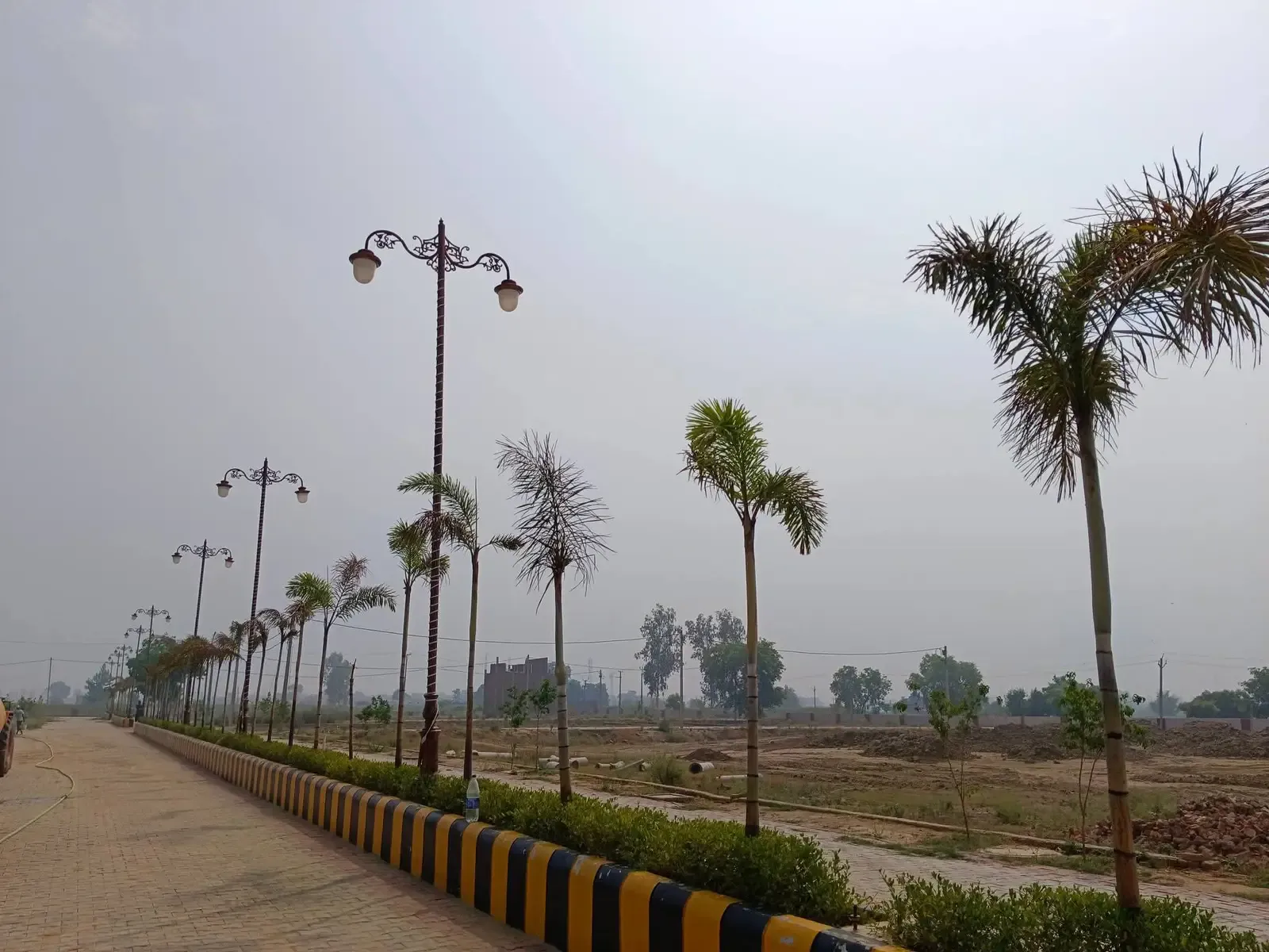 Defence Garden Phase 2: road with ornate lamp posts, young palms and a striped kerb on a hazy day